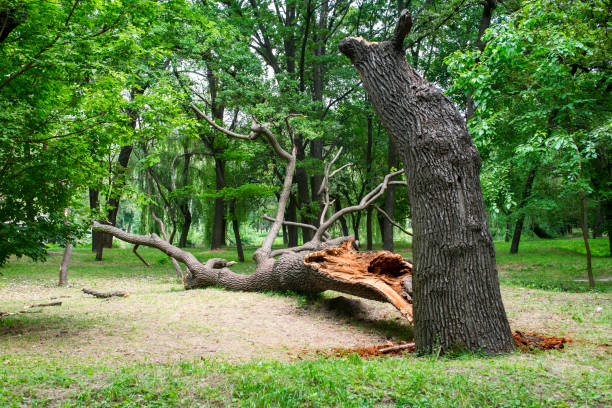 Landscape Design and Installation in Ashaway, RI